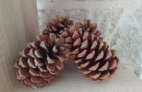 Apartamentos Gabín - Foto 7