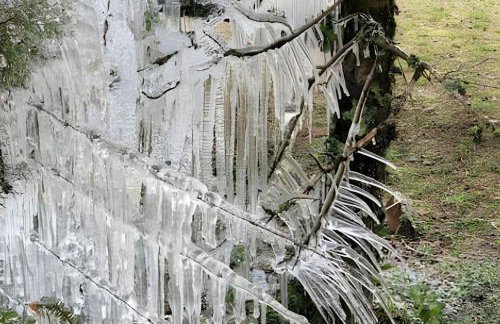 Cabana Pequeno Bosque som dás Águas - Foto 58