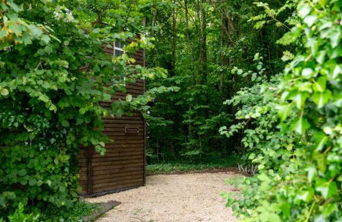 Honeycomb Treehouse in the Heart of Dorset - Photo 19