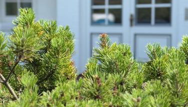 Ocean-View-II-Holiday-Apartments-Sylt - Foto 5