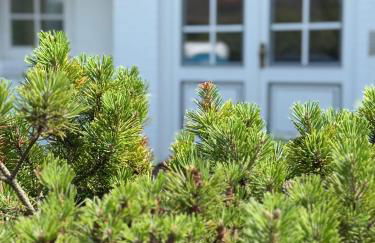 Ocean-View-II-Holiday-Apartments-Sylt - Foto 5