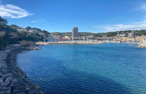 T2 vue sur le port jacuzzi terrasse et parking - Foto 51