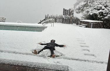 Oberprantschöllhof - Horse Mountain Stable - Foto 15