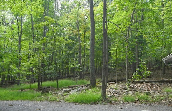 Haven Home - Foto 13