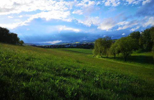 Schrauts Unwesen - Photo 51