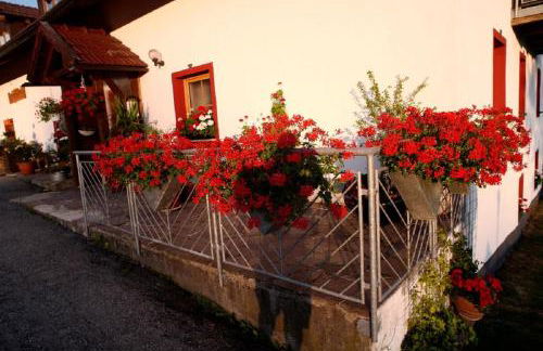 Ferienwohnung Mirtei - Foto 46