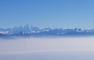 Au Platelet numéro 144 - Foto 3