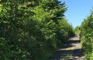 Flying Scotsman Unique Carriage Pet Friendly! Lazy Spa can be available upon request with additional cost of 40 - Foto 26