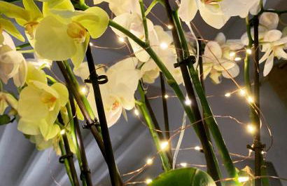 45BB Apartment - Foto 11