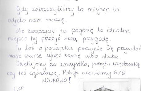 sosnowelowe - Foto 61