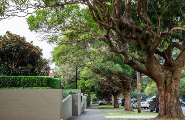 Luxury Escape in Bellevue Hill Apartment - Foto 19