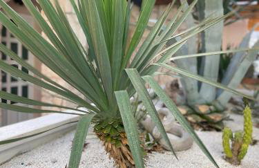 Apartments Leko - Foto 65