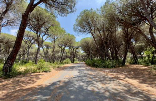 Il canto della pineta - Foto 29