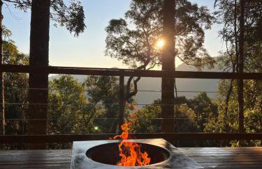 La negra - cabana entre araucárias - Foto 22