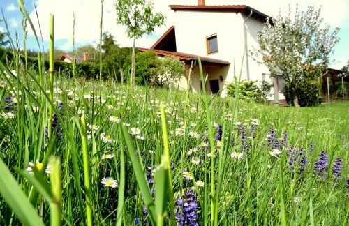 Ferienwohnung Schneider - Foto 1