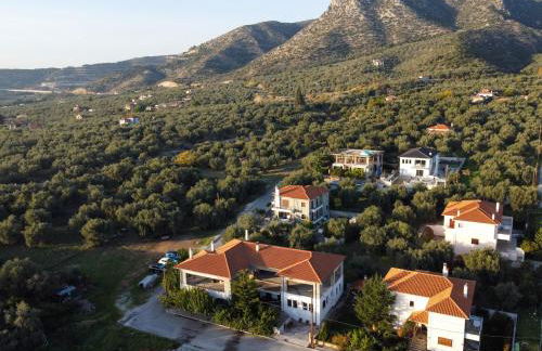 The backyard- Κατοικία στην Αγριά, Βόλου - Foto 35