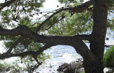 Apartmani Nata - Photo 78