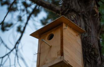 Agriturismo Anfora della Vita - Foto 33