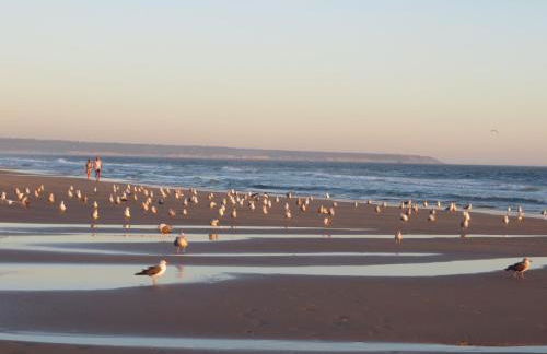 Caparica for Rent - Foto 51