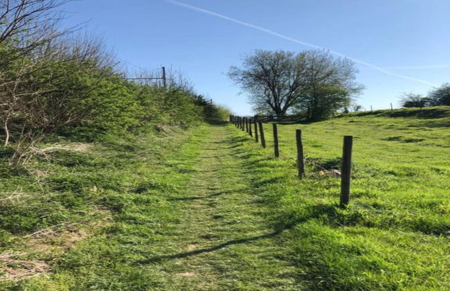 Zoutleeuw Home With Pool - Foto 36