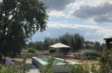 Tenuta Di Paternostro - Foto 23