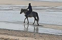 Gîte d'Anne et Ulysse - Foto 53