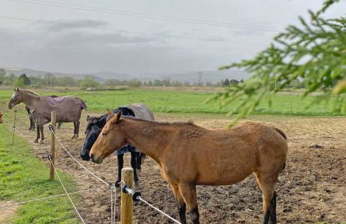 Tiny-House - 5 min de Montélimar - Salle de bain italienne & grand confort - Foto 44