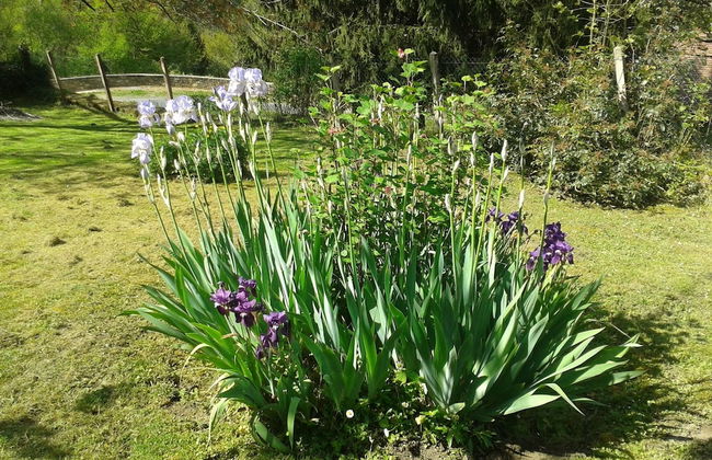 Gite des croix Bancaud - Foto 41