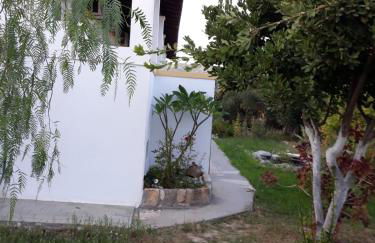 Level Houses - Foto 25