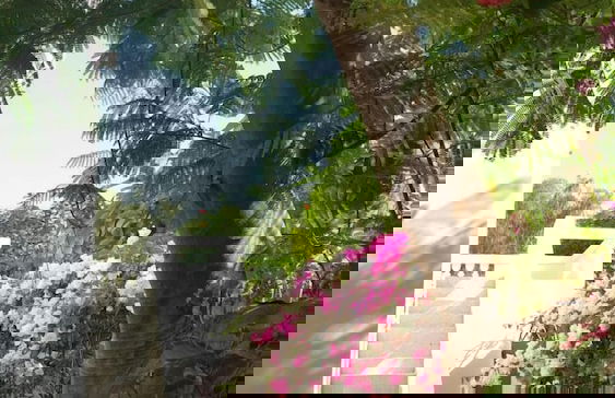 La bougain Villa - Photo 21