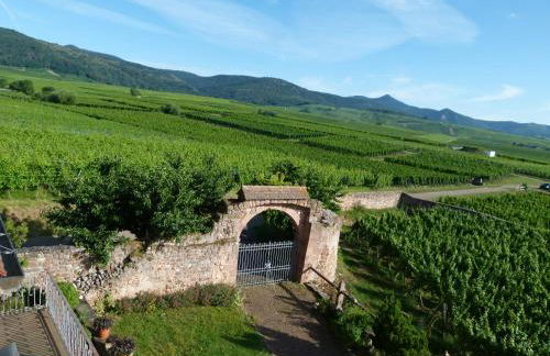 Domaine du Bouxhof - Foto 13