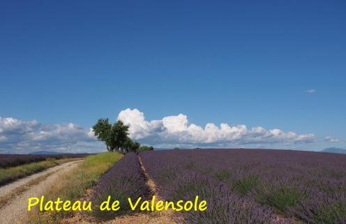 Une Heure Bleue - Foto 10