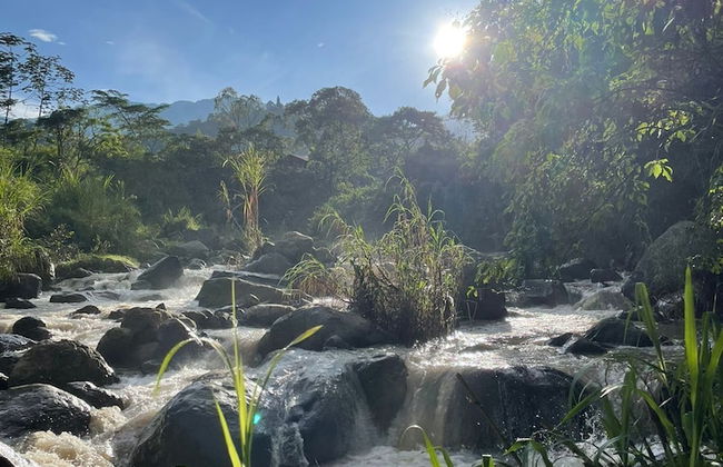 Villas del Rio - Foto 10