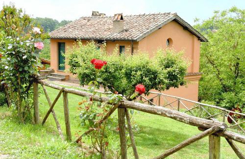 Montecasciano - Tulipano - Foto 22