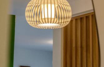 Les roseaux bleus - Foto 55