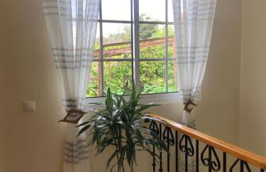 Guest House Santinhos - Foto 24