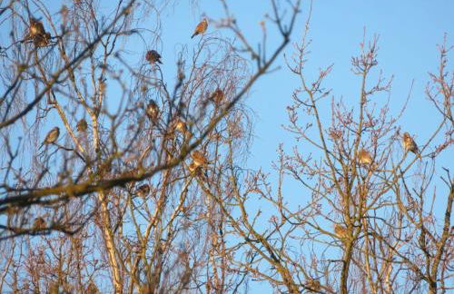 Ferienhaus Waldblick - Foto 41