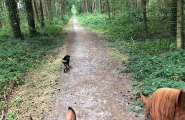 Ferienwohnung Friesenstube - Foto 45