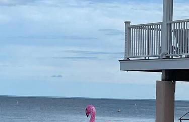 A little place in the Sun - Foto 15