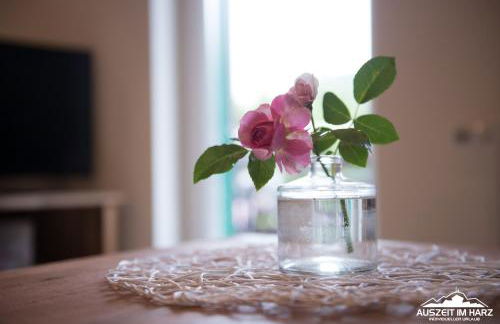 Auszeit-im-Harz Haus 2 Wohnung 1 - Foto 19