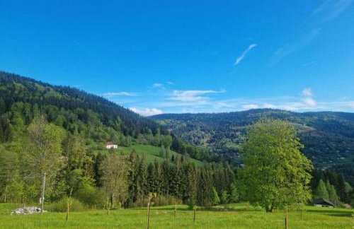 Chalet in La Bresse near Ski Slopes - Foto 27