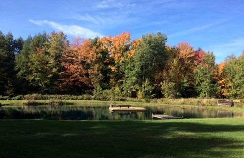 Secluded Cabin Rental near Letchworth State Park in Buffalo, Arcade, New York - Foto 20