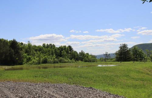 Scenic Mountain Lodge - Foto 54