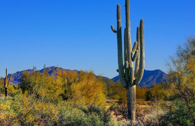 Custom Home! 2+ Acres True Indoor-outdoor Living! - Foto 74