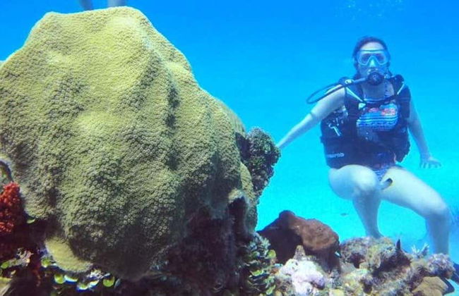 Bautismo de buceo en Cartagena - Foto 1
