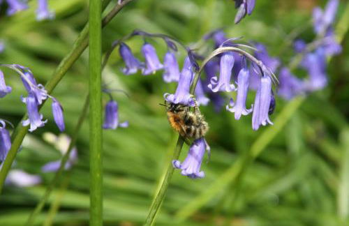 Crylla Valley Cottages - access to pool, gym, spa and more - Photo 48