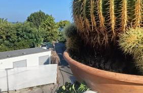 Sunny Terrace Retreat - Foto 34