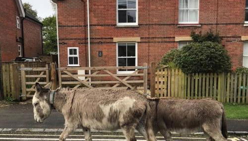 Railway Terrace - Photo 3