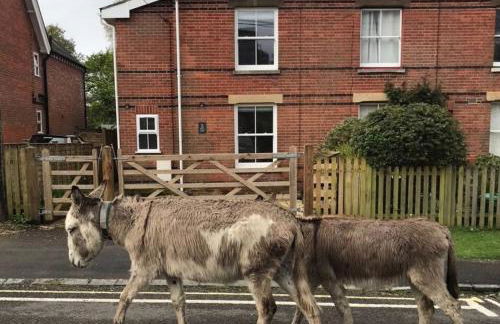 Railway Terrace - Foto 2