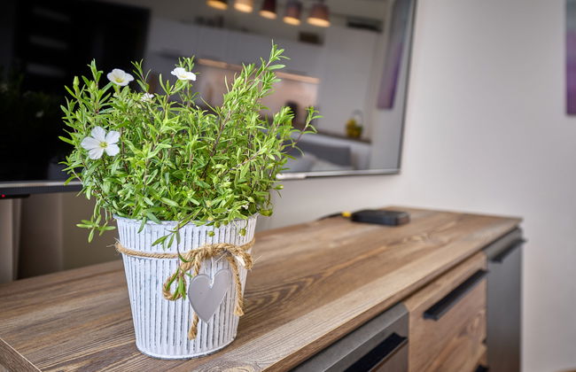 Horní Mísečky - Foto 8